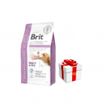 BRIT GF veterinaarravimid koertele Ultra-h&uuml;poallergeensed putukad 400 g + &uuml;llatus teie koerale