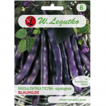 Tavaline roheline hernes, pikk, lillakaspruun Blauhilde - keskmise varajane