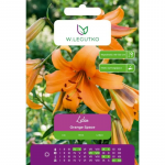 Lilia Orange Space oranž 1 tk.