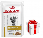 ROYAL CANIN Cat Urinary Moderate Calorie 12x85g + STAIGMENA KATEI
