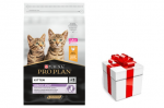 PRO PLAN Kitten Kitten Healthy Start kassipoegade toit rohke kanaliha 10kgc + STAIGMENA KATEI
