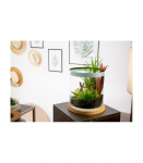 Zolux akvaarium silindriline 12 l