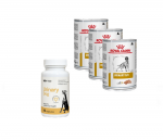 ROYAL CANIN Urinary S/O 3x410g purk + LAB-V Urinary Dog - Abi uriiniteede infektsioonidega koertele 45 kapslit