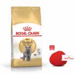 ROYAL CANIN Briti l&uuml;hikarvaline 10 kg + Royal Canin kassi m&auml;nguasi TASUTA