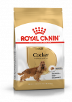 ROYAL CANIN Cocker Spaniel Adult 12kg kuivtoit t&auml;iskasvanud cocker spaniel koertele