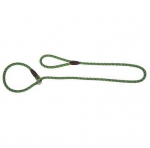 DINGO r&otilde;ngas, kinnitatav koerarihm koos n&ouml;&ouml;riga MAGIC - roheline-sinine