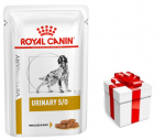 ROYAL CANIN Koera uriini m&otilde;&otilde;duka kalorsusega 12x100g - koertele + STIGMENA FOR DOGS