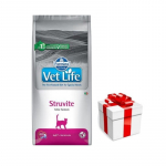 FARMINA Vet Life Cat Struvite (kuseteede) 2 kg + &uuml;llatus teie kassile