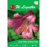 Lilia Pink Perfection roosa 1 tk.