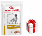 ROYAL CANIN Koerte uriinivanastus +7 leivak&uuml;psis 12x85 + STAGMENA FOR DOGS'ile