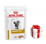 ROYAL CANIN Cat Urinary p&auml;tsides 12x85g + STAIGMENA KATEI