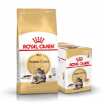 ROYAL CANIN Maine Coon Adult 10kg + m&auml;rgtoit TASUTA!