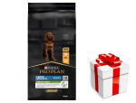 Purina Pro Plan Large Puppy Athletic Optistart, kana ja riis 12kg + KOERATOIDU