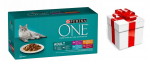 Purina One Adult kasside kotikesed MIX maitsed kastmes 40x85g