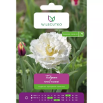 Tulbid &bdquo;Snow Crystal&ldquo;, 4 tk.