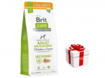 BRIT CARE Dog Sustainable Adult Medium Breed Chicken & Insect 12kg+2kg + koeratoit