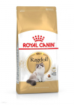 ROYAL CANIN Ragdoll Adult 10kg kuivtoit t&auml;iskasvanud ragdoll kassidele
