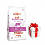 Calibra Dog Life t&auml;iskasvanud suurte t&otilde;ugude lambaliha 12 kg + &uuml;llatus teie koerale