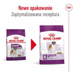 ROYAL CANIN Giant Adult 15kg kuivtoit t&auml;iskasvanud koertele, 18/24 kuud ja vanemad, hiigelt&otilde;ugu koerad