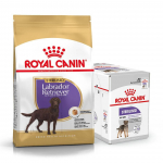 ROYAL CANIN Labrador Retriiver t&auml;iskasvanud kastreeritud 12 kg + m&auml;rgtoit TASUTA!