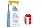 BRIT CARE Dog Sustainable Adult Large Breed Chicken & Insect 12kg+2kg + koeratoit