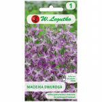 Maciejka, kaheharuline roosa-lavendiline