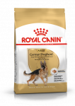 ROYAL CANIN Saksa lambakoer Adult 11kg + STAIGMENA FOR DOGS