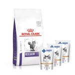 ROYAL CANIN Dental S/O DSO 29 3 kg + ENZO VET m&auml;rgtoit veiselihaga želeleega kassidele 3x100 g