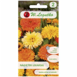 Meditsiiniline saialill segu