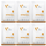 VETEXPERT Intestinal Cat &ndash; m&auml;rg veterinaark&ouml;&ouml;k kassidele 100 g