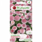 Tavaline margriit &bdquo;Pomponette&rdquo; &ndash; roosa