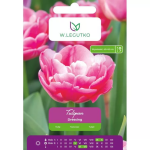 Tulipan-salatikaste, 4 tk.