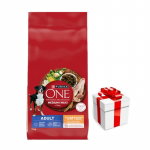 PURINA ONE Adult Medium/Maxi T&auml;iskasvanud koertele m&otilde;eldud toit, rikkalikult kana ja riisiga, 12 kg + &uuml;llatus teie koerale