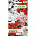 Tavaline margriit &bdquo;Pomponette&rdquo; &ndash; segu