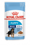 ROYAL CANIN Maxi Puppy 10x140g m&auml;rgtoit kastmes kuni 15 kuu vanustele kutsikatele, suurtele t&otilde;ugudele