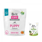 BRIT CARE Dog Grain-free Puppy Salmon 1kg