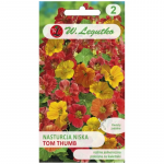 Madam Tom Thumb madam madam madam madam madam madam madam madam madam madam madam madam madam madam madam madam madam madam madam madam madam madam madam madam