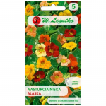 Madal nasturtsium, kirjud lehed &ndash; Alaska segu