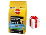 PEDIGREE&reg; Junior Professional Nutrition 12 kg linnuliha ja k&ouml;&ouml;giviljadega &ndash; kuiv t&auml;isv&auml;&auml;rtuslik toit + &uuml;llatus teie koerale