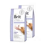 Brit GF veterinaarravim koertele seedeelundkonna jaoks 2x2 kg