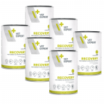 VETEXPERT Veterinary Diet Recovery 6x400g