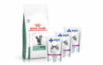 ROYAL CANIN Satiety Support Weight Management SAT 34 6kg + ENZO VET Steriliseeritud vasikaliha kastmes 3x100g
