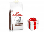 ROYAL CANIN Gastro Intestinal GI25 15 kg SHUO + STAIGMENA KUTSE KOERTELE