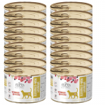 4Vets Kasside uriiniteedele m&otilde;eldud toit, mis ei sisalda struviiti, 18x185 g