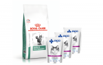 ROYAL CANIN Satiety Support Weight Management SAT 34 6kg + ENZO VET steriliseeritud dieet steriliseeritud kassidele kalkunimahlaga 3x100g