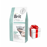 Brit gf veterinaarne dieet kassidele Struvite 2 kg + &uuml;llatus teie kassile