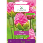 Tulbid &bdquo;Strawberry Cream&ldquo;, 4 tk.
