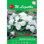Begonia bulwiasta Non Stop valge 2 tk.
