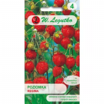 Regina maasikas &ndash; punased, suured viljad