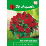 Non Stop punane mugulbegonia, 2 tk.